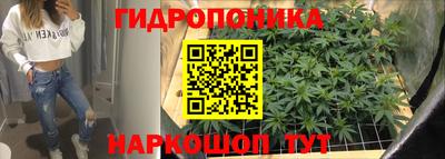 стаф Кунгур