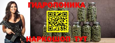 стаф Кунгур