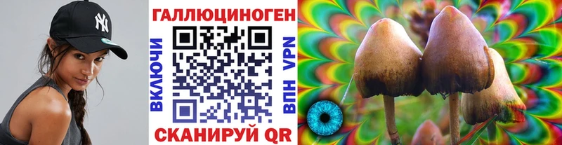 Галлюциногенные грибы мицелий Городец