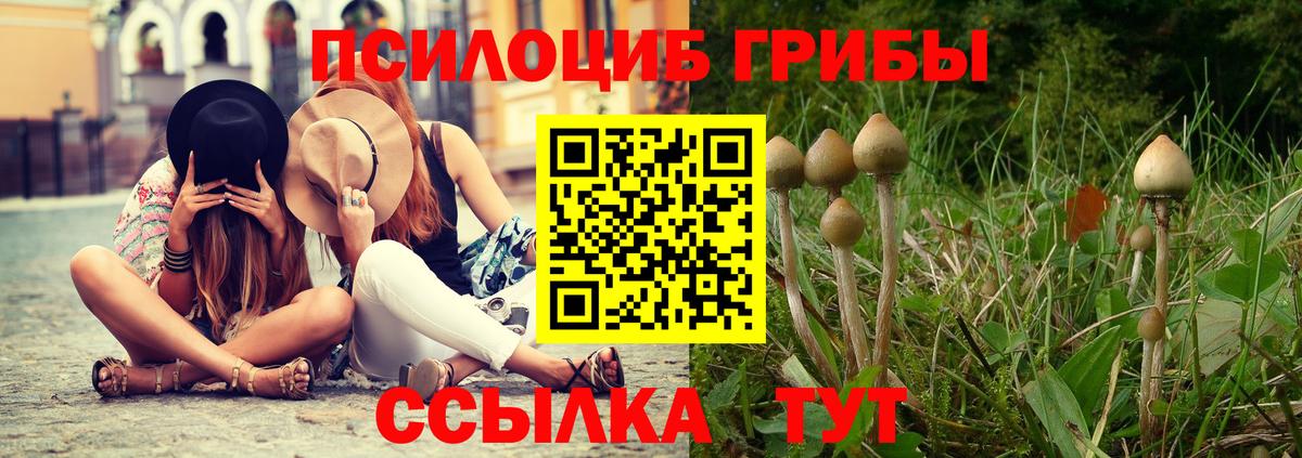 Галлюциногенные грибы ЛСД  Вход с VPN  Городец  Псилоцибиновые грибы Psilocybe 